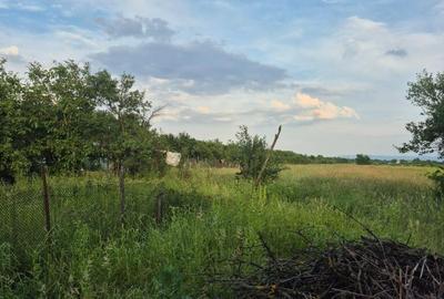 Bargau, casa 30 ari teren - 7