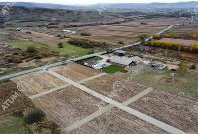 Teren pretabil investitie in Daia judet Sibiu - 2
