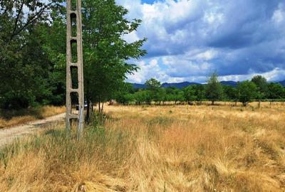 Teren Construcții intravilan de 2478 mp, în Polovragi - 5