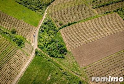 Teren extravilan - 3654 mp Dealul ?iriei - 1