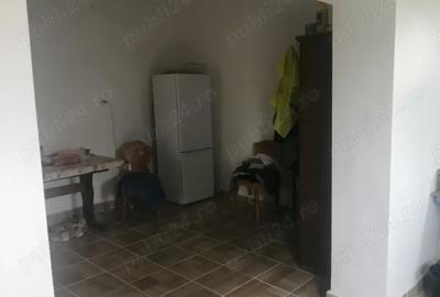 Casă cu 2 camere în Diosig - 10