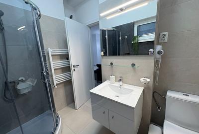 Apartament, 2 camere, open-space, Calea Bucuresti, Zona Electroputere - 7