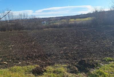 Casă cu 3 camere în Central