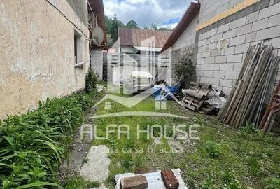 Vand casa Valiug - 1