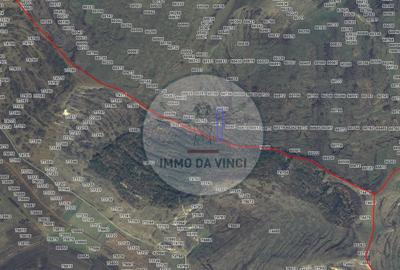 Teren Construcții intravilan de 38000 mp, în Borșa - 8