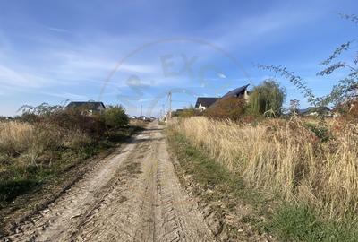 Teren 600 mp intravilan Albota, jud. Arges Teren 600 mp intravilan Albota, jud. Arges - 5