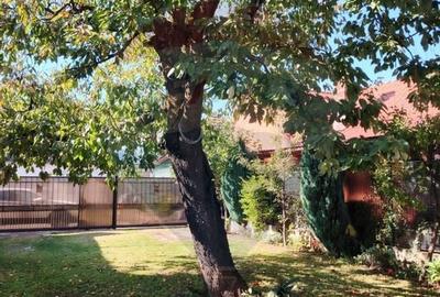 Casa de inchiriat in Centrul Vechi - ideala pentru locuinta sau birou - 17