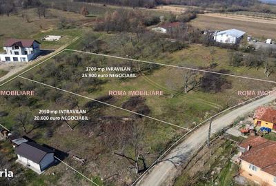 Teren de 6650 mp, în Remetea Chioarului - 5