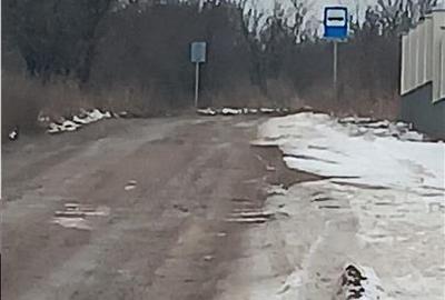 Teren Construcții intravilan de 6383 mp, în Vișan - 7