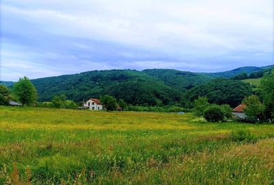 2335 mp TEREN INTRAVILAN, Negreni – Cluj, la 100 m de E60 Cluj – Oradea - 3