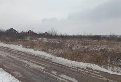 Teren Construcții intravilan de 6383 mp, în Vișan - 2