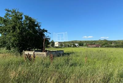 Teren intravilan parcelat de 10365mp, Șimnicu de Sus, sat Dutulesti - 3