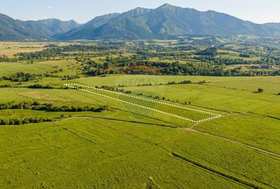 Teren agricol extravilan de 8329 mp, în Glăjărie - 3