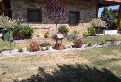 Proprietatea deosebita la 12 km de Ramnicu Valcea, în Mihaesti - 2