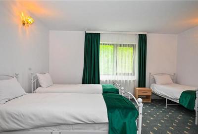 Complex turistic,afacere la cheie,3 vile, teren 7.700 mp,pan - 5