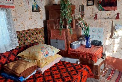 Casă cu 7 camere cu Teren 5500 Mp în Central - 4