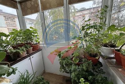 Apartament 2 camere/de vanzare/Calea Severinului - 2