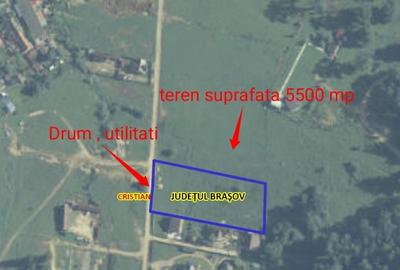 Oportunitate ! Teren cu potențial de investiție,Cristian - 6