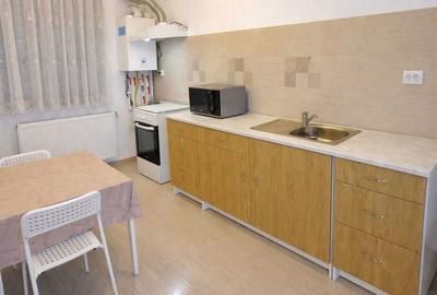 Apartament cu 2 camere decomandat în Valea Ialomiței - 5
