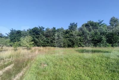 Teren, 700 mp pentru cabanute , toate utilita?ile in Fele - 4