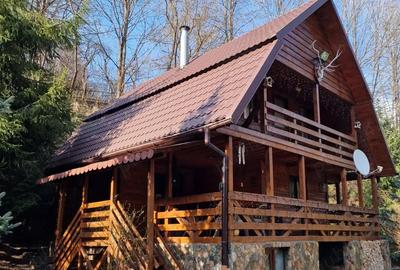 Casă cu 3 camere cu Teren 1493 Mp în Orăști - 6