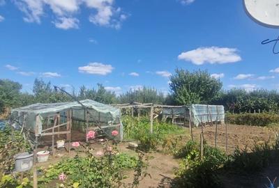 Casă cu 3 camere cu Teren 2100 Mp în Livedea - 4