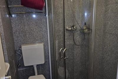 Garsoniera mobilata, Investitie,inchiriata 250 euro, Teiul Doamnei - 9