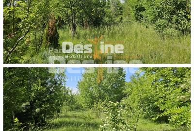 Teren Construcții intravilan de 3523 mp, în Tomești - 1