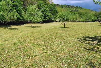 Spațiu comercial, în Clit - 5