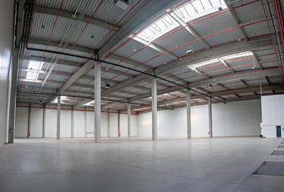 Spațiu industrial, de 2,610 mp, în Someșeni - 4
