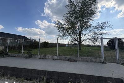 Teren de 4600 mp, în Sânmartin - 3