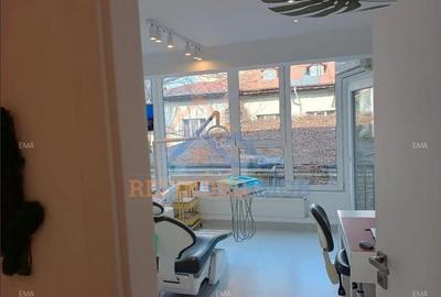 Doua vile in zona Calea Plevnei - 3