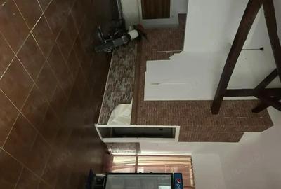 Spațiu comercial, de 146 mp, în Brâncoveanu