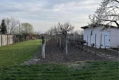 Teren de 1690 mp, în Central - 1