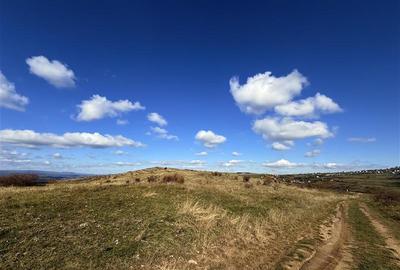 Comision 0% Oportunitate investitie teren extravilan  Salicea - 2