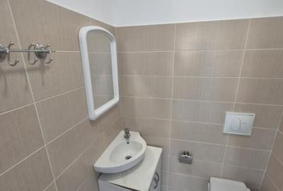 Spa?iu comercial in Pe?ti?ani pozi?ie excelenta - 6