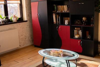Casă individuală cu 7 camere cu Teren 820 Mp în Burdujeni - 15