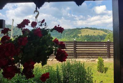 Casă cu 4 camere în Central - 4