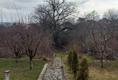 Casa - Complex rezidențial de vanzare - 9