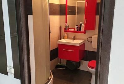 Garsoniera Moderna Sos Giurgiului - 7