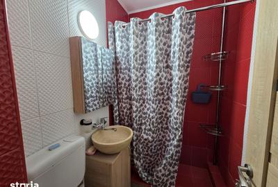 Garsonieră, mobilată în Alexandru cel Bun - 3