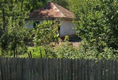 Casă cu Teren 1200 Mp în Central - 1