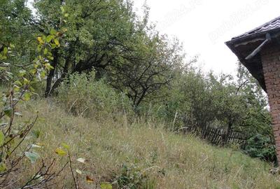 Vand proprietate in sat Selari, nr 91, comuna Valea Mare Pravat, jud Arges - 2
