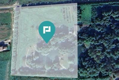 Teren intravilan cu balta de pescuit - 4