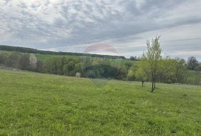 Teren Construcții intravilan de 3000 mp, în Oșlobeni - 1