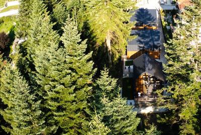 2 cabane scandinave moderne + management inclus + ROI 9.5 ani ! - 1