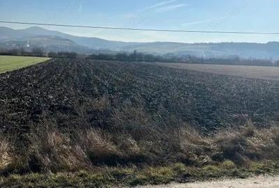 Teren extravilan de vanzare 8.188 mp - 1