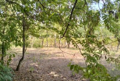 Teren de 4975 mp, în Belciug - 16