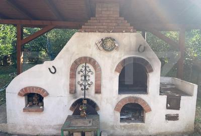 Vila mobilata + teren 800 mp Bucium, zona Plopii fara Sot - 11