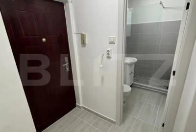 Garsonieră decomandată în Noua - 8